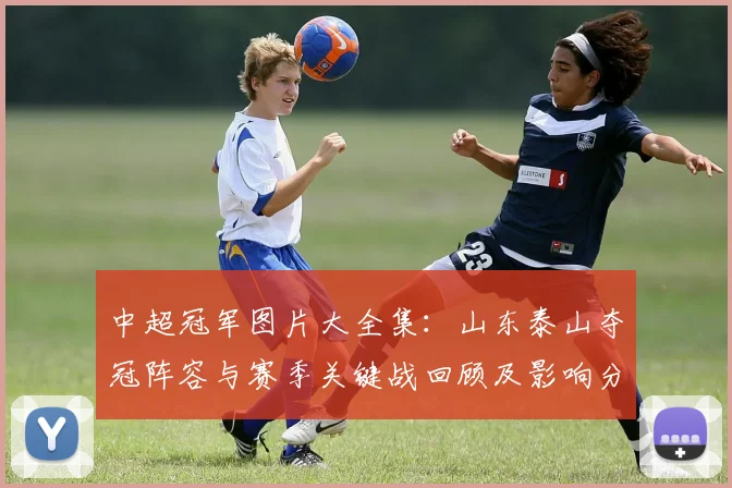 中超冠军图片大全集:山东泰山夺冠阵容与赛季关键战回顾及影响分析