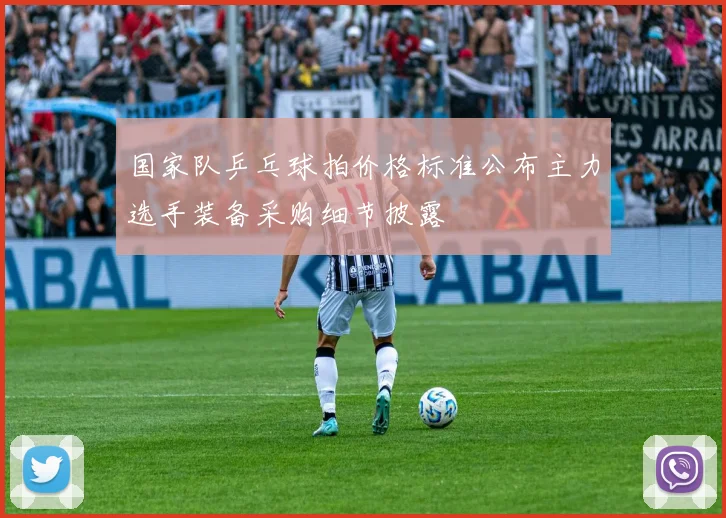 国家队乒乓球拍价格标准公布主力选手装备采购细节披露